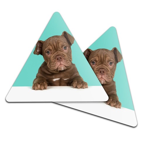 Triangle coaster cute old - 2x,