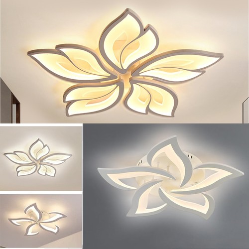 Modern chandelier led - chandelier, lamp