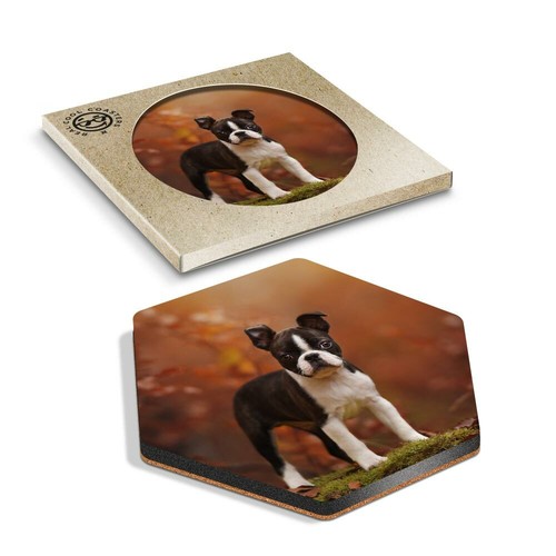 Hexagon coaster boston - coaster,
