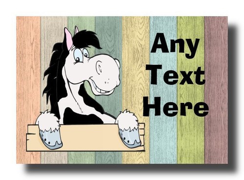 Piebald horse coloured - horse,