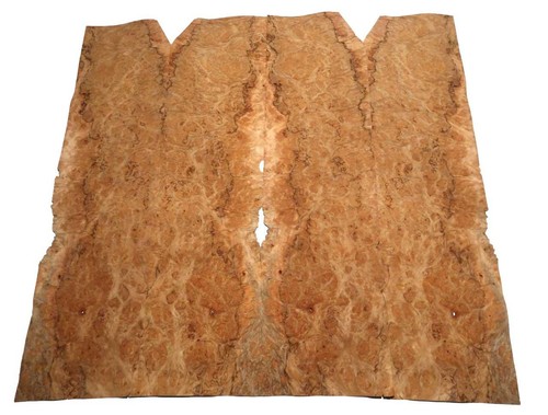 Coral root wood veneer - veneer, grain