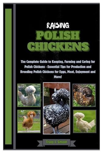 Raising polish chickens - raising, chickens: