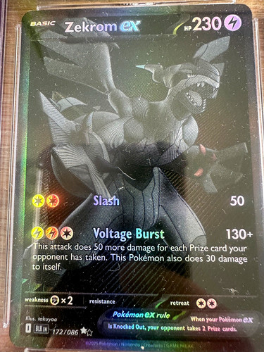 Pokemon zekrom bwr - pokemon,