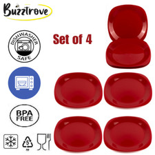 4 Reuseable Plastic Plates