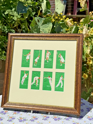Framed and mounted player - and,