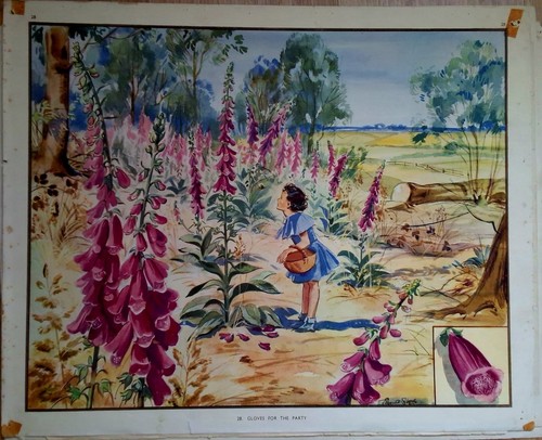 Foxgloves dandelions by - &,