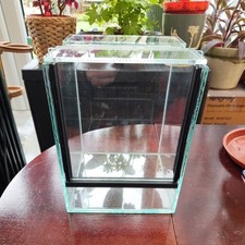 Glass Tank Terrarium