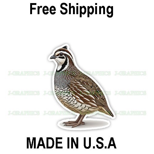 Bobwhite quail bird vinyl - bobwhite,