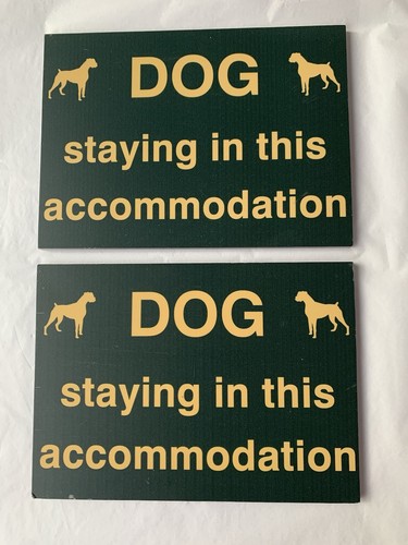 Dog staying in this - in,