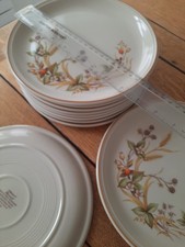 M&S Harvest St Michael Stoneware Dessert Plates Set of 2 Preowned More Available