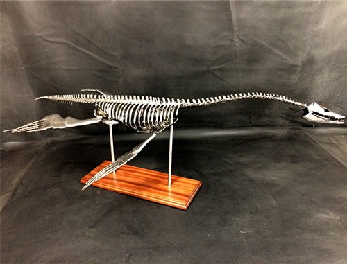 Handmade welded plesiosaurus - welded,