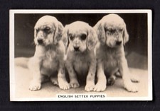 40693 / Senior Service