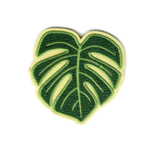 Monstera leaf swiss cheese - leaf,