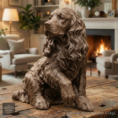 Stunning 40cm size springer - 40cm,