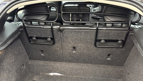 Volvo v40 dog - volvo,