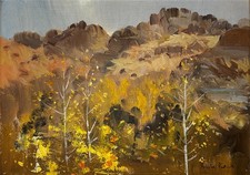 Douglas Badcock (1922-2009)