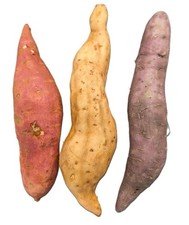 | METCHAR | 3x Sweet Potato