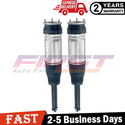 Rear air suspension shock - 2x,