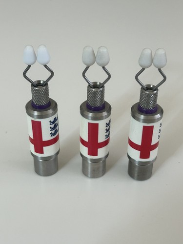 Solar tackle three lions - three,