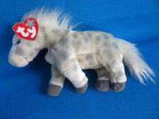 LIGHTNING PONY APPALOOSA HORSE