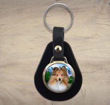 Shetland Sheepdog Sheltie