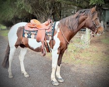Western Saddle Garland Diamond