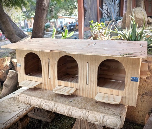 Pigeon nesting boxes - boxes,