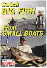Catch Big Fish From Small