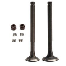 64mm Intake Exhaust Valve Kit