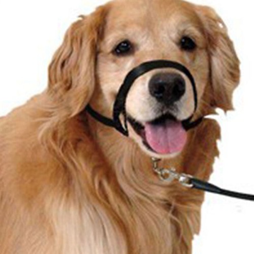 Dog headcollar non - pull, dogs