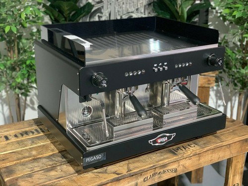 Wega pegaso group brand - pegaso, 2