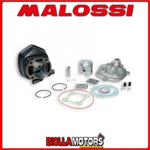 318284 cylinder malossi - malossi, sport