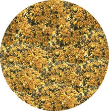 GARDEN BIRD SEED 450g ANISEED Flavoured Wild Bird Mixed Seed Robin Finch etc