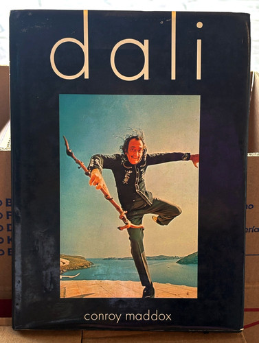 Dali surrealist artist conroy - artist,
