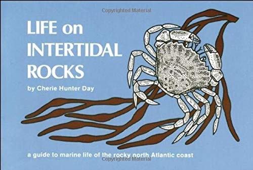 Life intertidal rocks a - :,