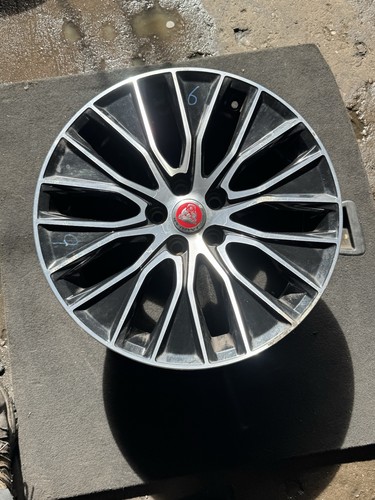 Jaguar 18 multi - jaguar, 18"