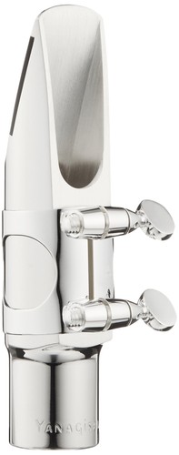 Yanagisawa alto sax metal - alto,
