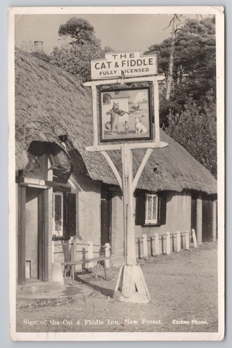 Postcard vintage new forest - new,