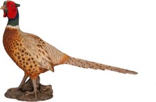 Vivid arts pheasant bird - vivid,