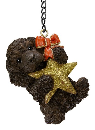 Chocolate cocker spaniel puppy - chocolate,
