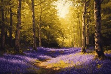 Bluebell Woodland Forest Canvas Picture Print Wall Art