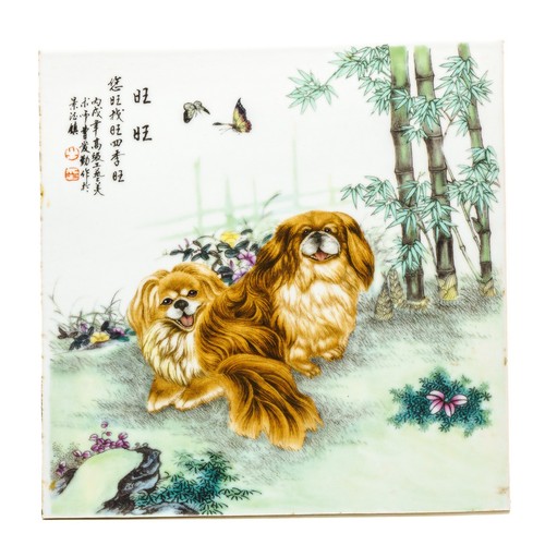 Chinese tile porcelain dogs - tile,