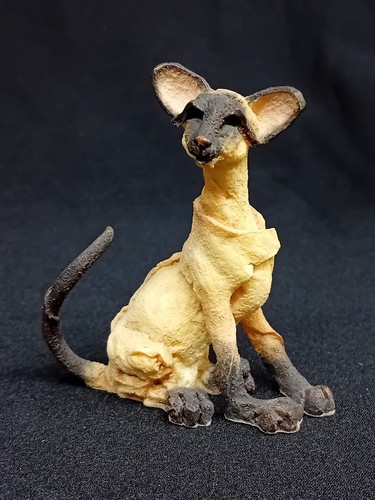 Breed apart siamese cat - a,