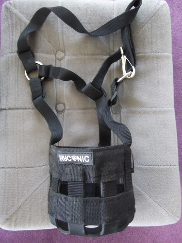 Hyconic pony size - pony,