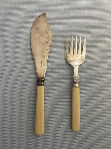 Faux bone harrison fisher co - &,