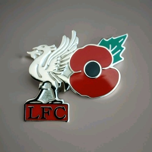 Liverpool pin badge - liverpool,