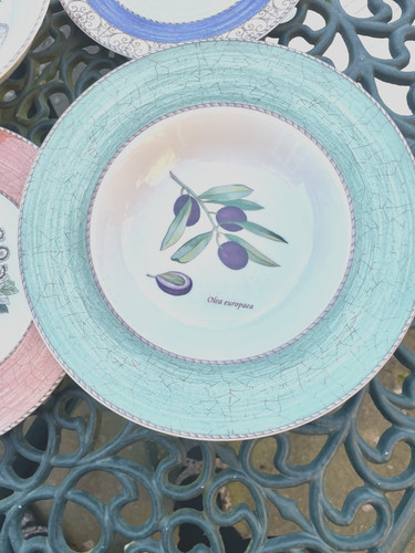 Discontinued wedgwood sarah - discontinued, sarah's