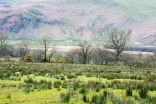 Photo 6x4 Rough grazing land