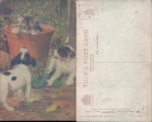 Kitten and puppies garden - kitten,