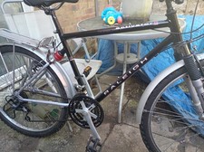 1990's Vintage Raleigh